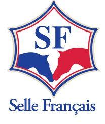 Création du label « Selle Français Originel »